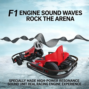 Kart électrique tout-terrain 24V <span class=keywords><strong>800W</strong></span> à transmission par chaîne, vitesse de course 15-25 km/h, pour enfants et adultes, capacité de charge 200 kg - Product Image 3