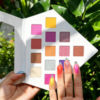 Palette de fards à paupières imperméable personnalisable 13 couleurs, marque privée, maquillage scintillant pour les yeux