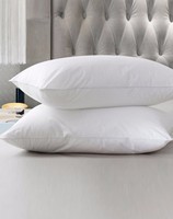 Coussin de salon, oreiller de qualité supérieure hypoallergénique, forme carrée pour canapé-lit