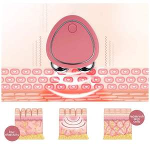 Appareil de tonification du visage à microcourant EMS, anti-âge, rajeunissement de la peau, rouleau de massage pour le lifting du visage, pour usage domestique - Product Image 5
