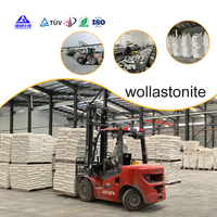 Poudre de Wollastonite Naturelle Haute Luminosité Blancheur 95% Faible Teneur en Métaux Lourds pour Applications Alimentaires
