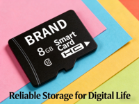 Carte mémoire TF Mini SD en vente chaude, 2 Go-16 Go, plastique OEM pour téléphones mobiles MP4 et appareils photo, classe 10 U1/U3
