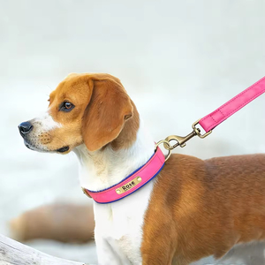 <span class=keywords><strong>Collar</strong></span> de perro de cuero de lujo personalizado con placa de identificación grabada acolchada suave y duradera patrón sólido - Product Image 4