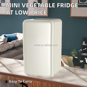 Réfrigérateur de comptoir portable 46L Minsize Stromberg, nouveau mini-réfrigérateur compact pour la maison - Product Image 5