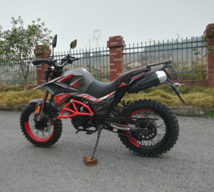 FUEGO <strong>TEKKEN</strong> 250 Cheap for Sale <strong>250cc</strong> All Terrain <strong>Motorcycle</strong> 11190143 - Product Image 2