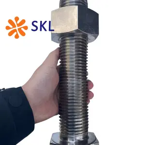 Customized All Kinds Of Stainless Steel Fasteners SS316 SS304 Hexagon Bolt With Nut Super Good Quality And Hex Head Bolt And Nut