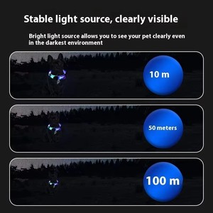 Correa de Perro de PVC Suave de Lujo con Interior de Nailon Impermeable, Luz LED Recargable por USB, <span class=keywords><strong>Collar</strong></span> de Perro de Goma con Patrón Sólido - Product Image 2
