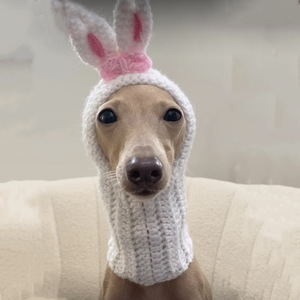 Bonito <span class=keywords><strong>gorro</strong></span> <span class=keywords><strong>de</strong></span> Halloween para mascotas, <span class=keywords><strong>gorro</strong></span> para perros con logotipo personalizado, etiqueta tejida hecha a mano, <span class=keywords><strong>gorro</strong></span> <span class=keywords><strong>de</strong></span> punto <span class=keywords><strong>de</strong></span> invierno con bola, bulldog, mascota, <span class=keywords><strong>perro</strong></span>, mascota - Product Image 6