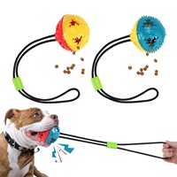 Balle à mâcher en caoutchouc thermoplastique pour animaux de compagnie, résistante aux morsures, avec corde, pour le nettoyage des dents et les friandises, jouet interactif pour chats et chiens