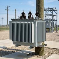 Transformador de Distribución de Energía Trifásico de 100 kVA, 10 kV/0.4 kV, Montado en Poste, Sumergido en Aceite, con Bobinado de Cobre, 50/60 Hz, para Poste de Alimentación