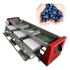 Mesin penyortir Blueberry mudah untuk mengoperasikan mesin penyortir ukuran Blueberry Sorter semua dalam satu