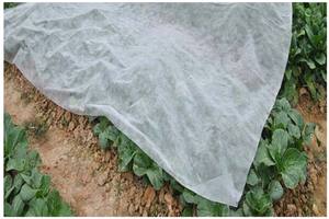 <b>Eco</b>-<b>friendly</b> Polypropylene Spun-bonded Non-woven <b>Fabric</b> For Agriculture and Garden Use - Product Image 2
