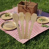 10cm Grote Bamboe Lepel met Lasergegraveerd Logo, Gladde Schaal, Klassiek Design, Volledig Bamboe, voor het Proeven van Eten