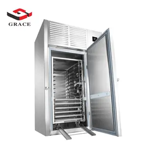 Grace -40 grados de acero inoxidable Ultra baja temperatura Choque de alimentos Congelación comercial Blast Chiller Congelador Equipo