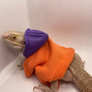 Ensemble sweat à capuche et t-shirt en polyester pour petits reptiles – Tenue mignonne de printemps pour les promenades et les déguisements - Product Image 5