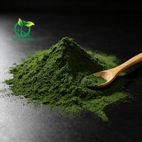 Poudre de spiruline de qualité supérieure - Superaliment riche en nutriments pour les smoothies, les compléments alimentaires et les aliments santé