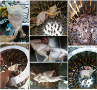 Mini plumeuse à poulet en caoutchouc pour volailles