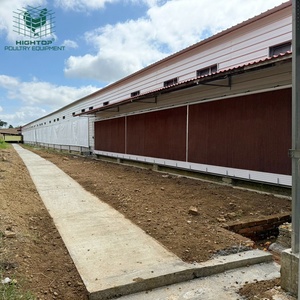 Gallinero Prefabricado <span class=keywords><strong>de</strong></span> Acero <span class=keywords><strong>de</strong></span> Bajo Costo, Gallinero Prefabricado para Granja Avícola en <span class=keywords><strong>Venta</strong></span> - Product Image 5