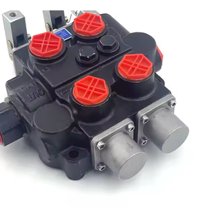 วาล์วควบคุมการไหลแบบชดเชยแรงดันด้วยตนเอง รุ่น RD5200  ปรับแต่งโซลูชันไฮดรอลิก OEM/ODM สำหรับวาล์ว RD5200 - Product Image 5