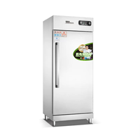 Armoire de stérilisation à circulation d'air chaud de niveau professionnel, grande capacité, pour écoles et restaurants