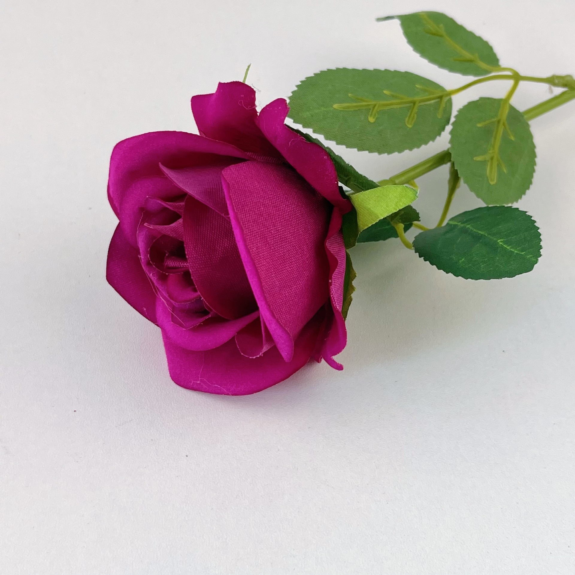rosa rossa