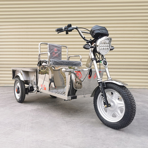 Triciclo de Carga Certificado de 1000w, Vehículo Familiar para Adultos, para Pasajeros, Voltaje de 48v, Certificado por EEC/DOT - Product Image 1
