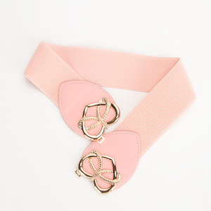 Fábrica al por mayor nuevo cinturón elástico para mujer decoración de moda con vestido cinturones de cintura simples moda - Product Image 5
