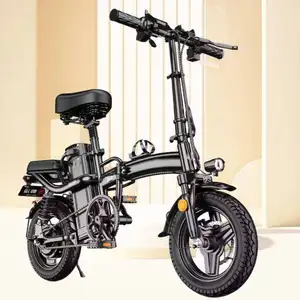 LW 미니 접이식 전기 자전거 400W 48V 14 인치 전기 도시 자전거 접이식 전기 자전거 저렴한 성인 배터리 전원 스쿠터