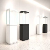 Vitrine autoportante en verre noir et blanc avec éclairage pour bijoux, colliers de diamants, parfums et exposition en magasin de détail