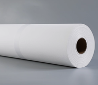 Rollo de Lienzo de Poliéster Imprimible de 252 g/m², Mate, Impermeable, para Impresora de Inyección de Tinta con Pigmentos, Compatible con EPSON, CANON, HP