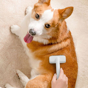 <span class=keywords><strong>2025</strong></span> Neues Design Einfaches und elegantes Edelstahl-Einknopf-Tierhaar, das Kamm-Haustier zubehör drückt und knotet - Product Image 6