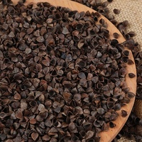 Relleno de Almohadas de Cáscara de Trigo Sarraceno al por Mayor, Relleno Natural de Cáscara de Trigo Sarraceno de Alta Calidad