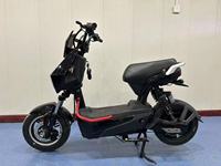 NOUVEAU Vélo électrique adulte 500W 48V20AH Vélo électrique 2 places Vélo électrique de ville Vélo électrique à grande vitesse