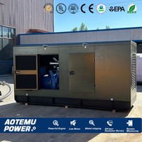 Groupe électrogène diesel 220 kVA avec capot de protection contre les intempéries, puissance de pointe et de secours disponible, générateur à enroulement tout cuivre