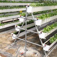 Fraise pousser gouttière PVC substrat creux système
