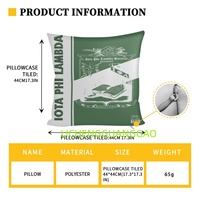 Housse de coussin confortable et douce de haute qualité avec impression personnalisée du design Sorority Iota Phi Lambda, vente en gros