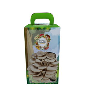 Boîte d'emballage en carton ondulé pour kit <span class=keywords><strong>de</strong></span> culture <span class=keywords><strong>de</strong></span> champignons, boîtes en papier pour la culture <span class=keywords><strong>de</strong></span> champignons d'huître biologiques - Product Image 1