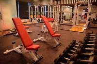 Banc inclinable et déclinable haut de gamme pour usage commercial, fitness, musculation, clubs intérieurs, exercices à domicile et en salle de sport - À vendre
