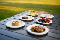 Assiettes rondes jetables en bagasse de canne à sucre de 8 pouces, robustes et écologiques, pour le camping et les mariages