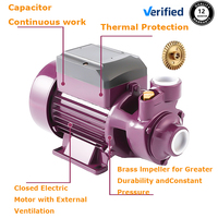 Petites pompes domestiques à turbine vortex QB 60 électrique 1 2 0.3 0.5hp électrique pour l'industrie agricole pompe à eau à surface propre