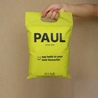 Sac d'Emballage en Plastique Givré à Fermeture Éclair avec Poignée pour T-shirts, Logo Imprimé, Refermable en Polyéthylène, Zip Lock pour Vêtements