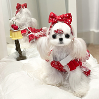 Robes de mariée classiques brodées en polyester pour animaux de compagnie, confortables, respirantes, toutes saisons, OEM, vente en gros