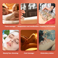 Mobilier professionnel pour salon de beauté : Table de massage et de soin du visage pliable en ABS, certifiée CE, sûre, noire, pour traitement corporel, OEM