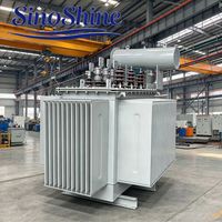 Transformateur immergé dans l'huile à alliage amorphe 11KV 500KVA triphasé à très faibles pertes sous vide pour projet d'énergie verte