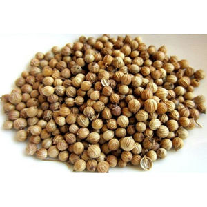 Semillas de cilantro de alta calidad, producto al por mayor de Egipto, alta calidad, precio más competitivo disponible - Product Image 1