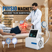 At Modeli 1000-3000Hz Manyetik Fizyo Manyeto Terapi Taşınabilir Cihazı Ağrı Kesici