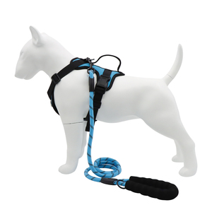 Blue <b>black</b> buckle closure Adjustable medium dog <b>harness</b> Simple style dog <b>harness</b> Padded nylon dog <b>harness</b> adjustable - Product Image 6