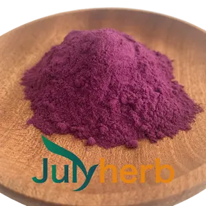 Julyherb Wholesale Natural Raw Material Freeze-dried Red Heart Dragon Fruit 100% Powder Beverage Baking Ingredients