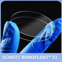 SCHOTT Borofloat 33 Optical Glass Laboratory Microscope Slides High 92% Light Transmission 24x60mm Size 92% Optical Glass