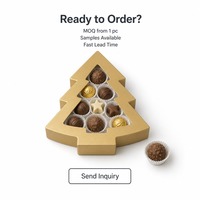 Caja de Regalo Personalizada en Forma de Árbol de Navidad, Color Dorado Mate, con Ventana de Acetato, Suministro Directo de Fábrica al por Mayor para Venta al por Menor y Regalos